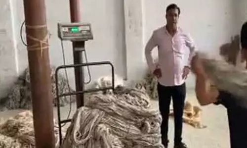 Bikaner के ऊन व्यापारियों ने 50% अमेरिकी टैरिफ के बीच केंद्र से राहत की मांग की Bikaner के ऊन व्यापारियों ने 50% अमेरिकी टैरिफ के बीच केंद्र से राहत की मांग की