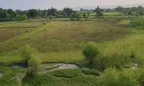 MP: रीवा में 25 लाख का तालाब गायब, तलाश शुरू MP: रीवा में 25 लाख का तालाब गायब, तलाश शुरू
