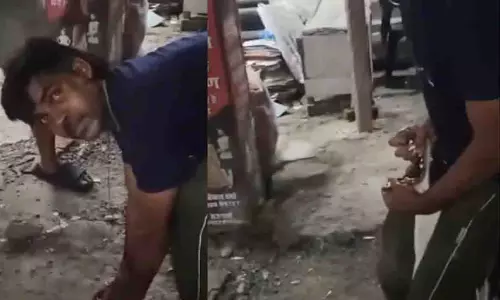 UP: अपने नाबालिग बेटे का पीछा करने पर पिता ने आवारा कुत्ते के जबड़े फाड़ दिए UP: अपने नाबालिग बेटे का पीछा करने पर पिता ने आवारा कुत्ते के जबड़े फाड़ दिए