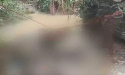 Narsinghpur: वन परिक्षेत्र में एक और हाथी का बच्चा मृत पाया गया