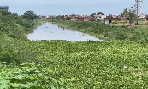 पटियाला में घग्गर नदी का जलस्तर बढ़ने से अलर्ट, बाढ़ के खतरे से दहशत पटियाला में घग्गर नदी का जलस्तर बढ़ने से अलर्ट, बाढ़ के खतरे से दहशत
