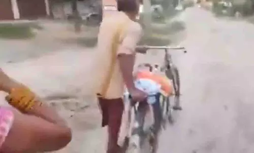 Maharajganj: झाड़ियों में नवजात शिशु लावारिस हालत में मिला Maharajganj: झाड़ियों में नवजात शिशु लावारिस हालत में मिला