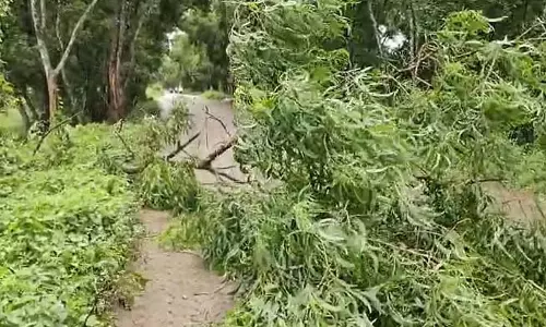 पश्चिमी मिदनापुर में तूफान का कहर, पेड़ उखड़ गए और सड़कें बाधित