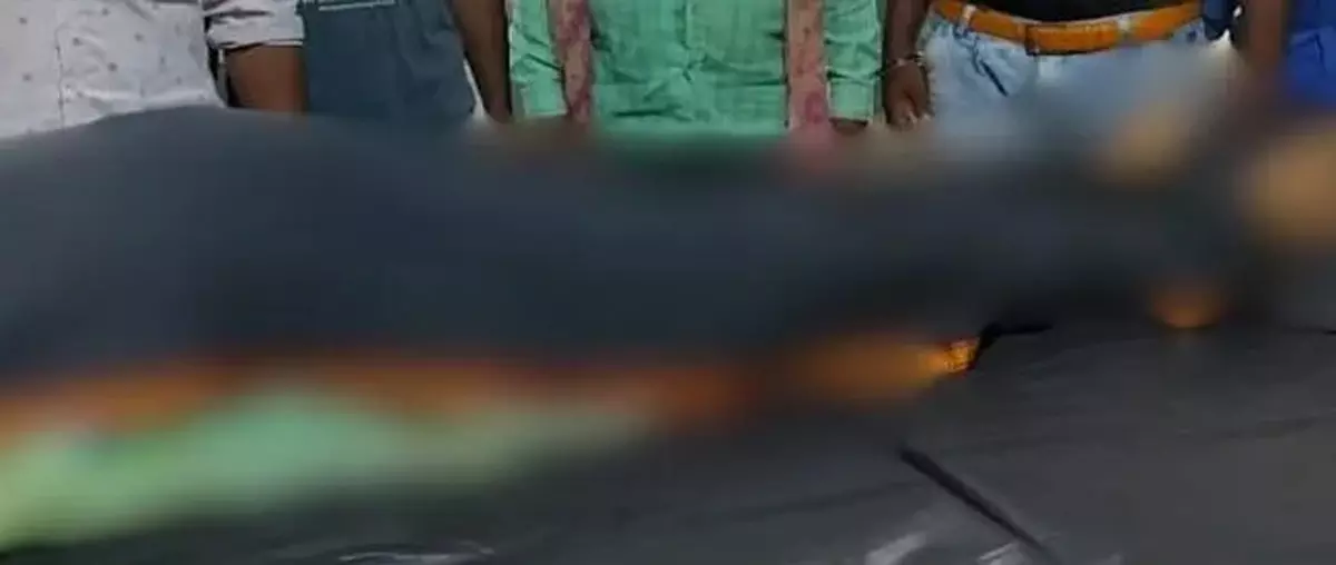 बाइक ने महिला को मारी ठोकर, स्पॉट पर मौत बाइक ने महिला को मारी ठोकर, स्पॉट पर मौत