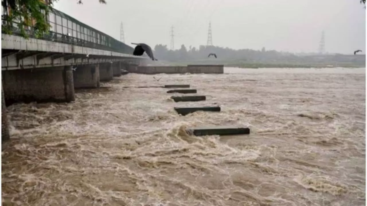 New Delhi: नदियों का जलस्तर सामान्य से ज्यादा, जल सतर्कता जारी New Delhi: नदियों का जलस्तर सामान्य से ज्यादा, जल सतर्कता जारी