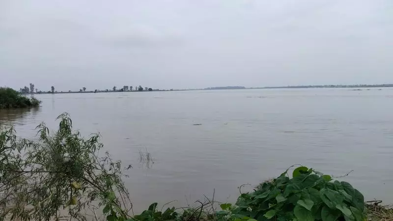 Panipat और सोनीपत में हजारों एकड़ फसलें जलमग्न Panipat और सोनीपत में हजारों एकड़ फसलें जलमग्न