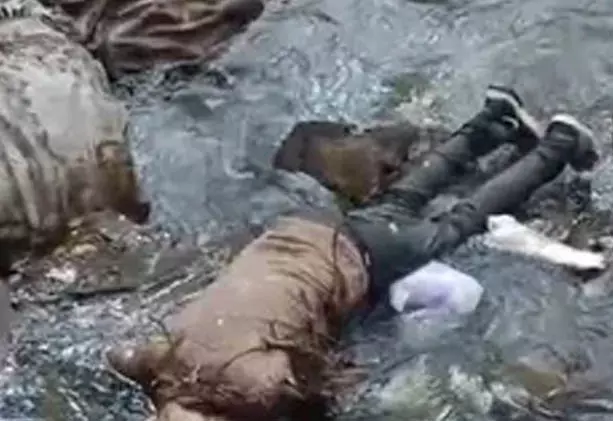 शेफ की लाश मिली, अंडरब्रिज नाले के आसपास फैली सनसनी शेफ की लाश मिली, अंडरब्रिज नाले के आसपास फैली सनसनी