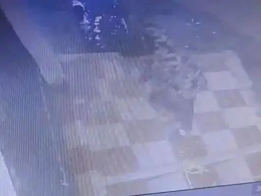 कोटा टीचर कॉलोनी में चोरी, 7 लाख नगदी और 4 लाख के जेवरात पार कोटा टीचर कॉलोनी में चोरी, 7 लाख नगदी और 4 लाख के जेवरात पार