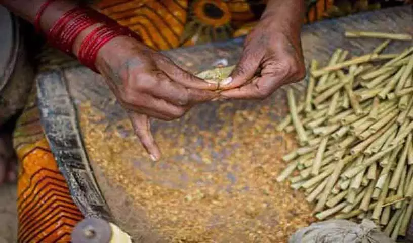बीड़ी पर GST कटौती की आलोचना की, इसे तंबाकू नियंत्रण के लिए झटका बताया बीड़ी पर GST कटौती की आलोचना की, इसे तंबाकू नियंत्रण के लिए झटका बताया