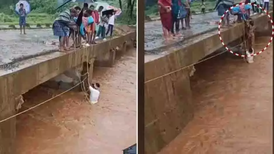 Odisha: ट्रैक्टर चालक ने दिखाई बहादुरी, पानी में डूबती महिलाओं को बचाया Odisha: ट्रैक्टर चालक ने दिखाई बहादुरी, पानी में डूबती महिलाओं को बचाया