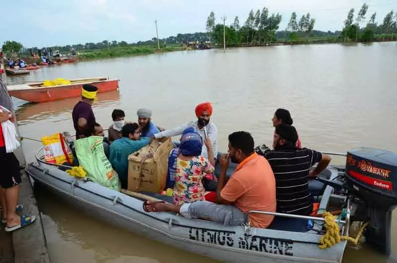 Sultanpur Lodhi में 60,000 एकड़ धान की फसल जलमग्न Sultanpur Lodhi में 60,000 एकड़ धान की फसल जलमग्न