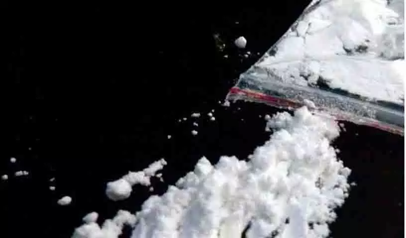 ड्रग तस्करी में डॉक्टर और IT प्रोफेशनल शामिल, हैदराबाद में नौ गिरफ्तार ड्रग तस्करी में डॉक्टर और IT प्रोफेशनल शामिल, हैदराबाद में नौ गिरफ्तार