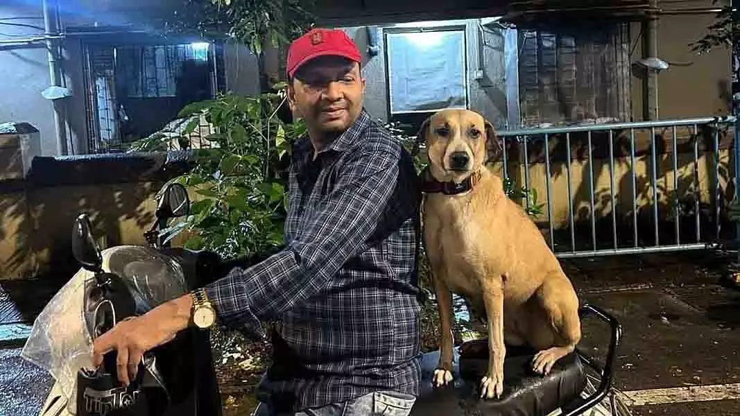 Mumbai: 3 महीने पहले अगवा हुआ मॉल का कुत्ता 6 घंटे की तलाशी के बाद मिला Mumbai: 3 महीने पहले अगवा हुआ मॉल का कुत्ता 6 घंटे की तलाशी के बाद मिला