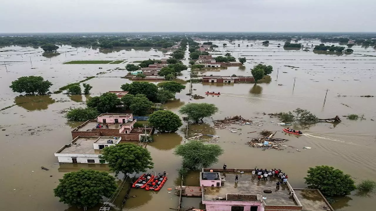 सांकेतिक तस्वीर (AI) सांकेतिक तस्वीर (AI)