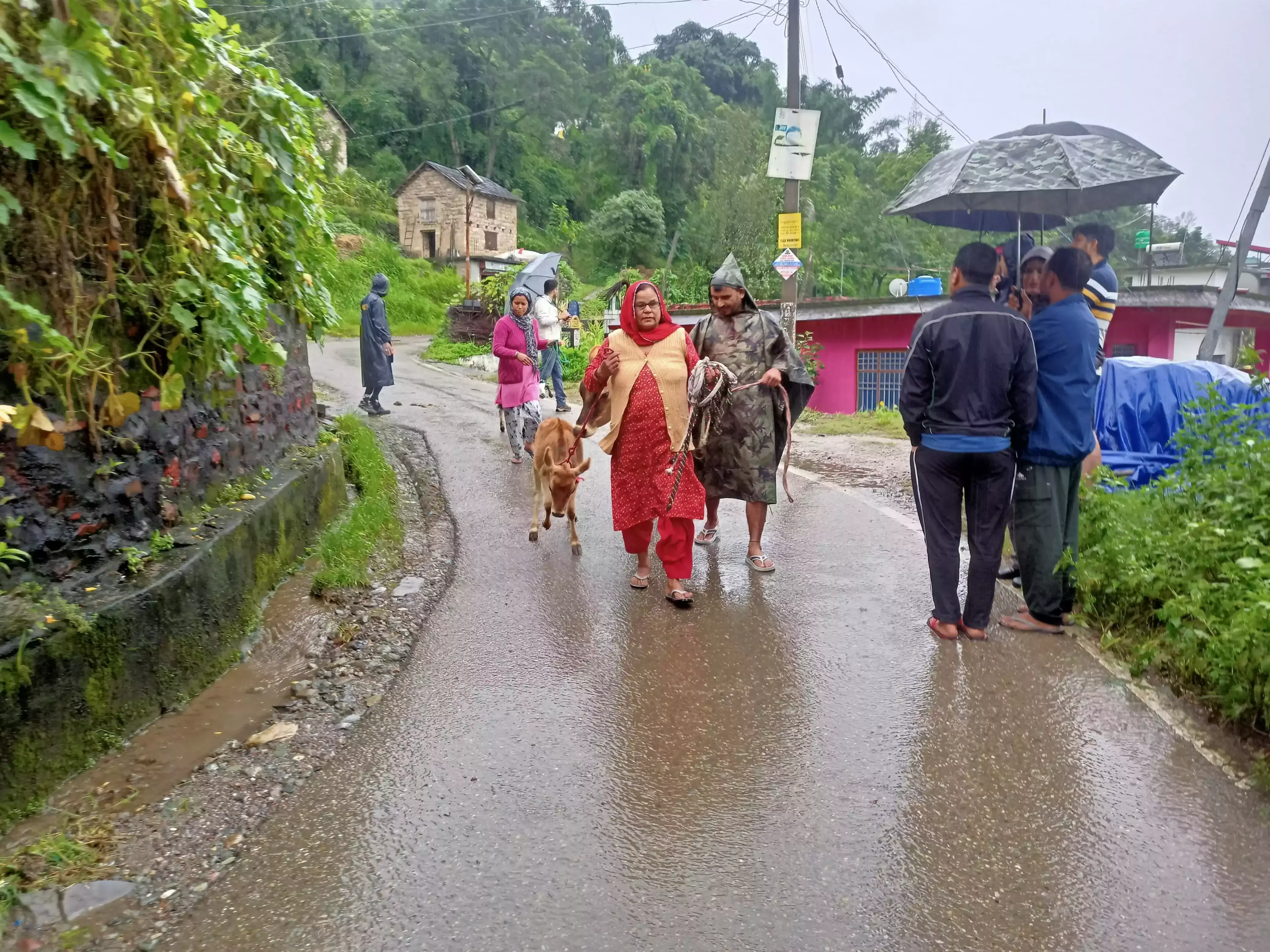 Mandi: कुंडूनी गांव में भूस्खलन से 22 परिवार प्रभावित, राहत कार्य जारी
