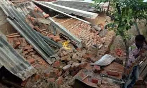 Maihar :दीवार गिरने से चार भैंसों की मौत Maihar :दीवार गिरने से चार भैंसों की मौत