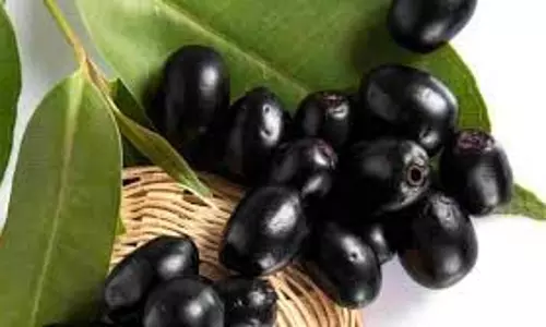 Benefits of Jamun: जानें इसके अनगिनत फायदे Benefits of Jamun: जानें इसके अनगिनत फायदे