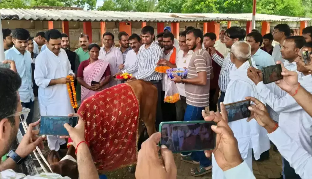 Kannauj: मंत्री असीम अरुण ने गायों को खिलाया गुड़-चना Kannauj: मंत्री असीम अरुण ने गायों को खिलाया गुड़-चना