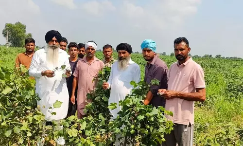 Haryana : घग्गर नदी के बढ़ते जलस्तर से सिरसा के गांवों में बाढ़ की आशंका