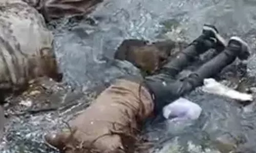 शेफ की लाश मिली, अंडरब्रिज नाले के आसपास फैली सनसनी
