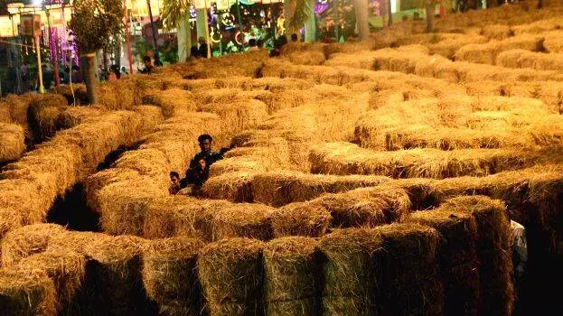 Kerala: कनककुन्नु पैलेस में भूलभुलैया खेल ने लोगों का ध्यान खींचा Kerala: कनककुन्नु पैलेस में भूलभुलैया खेल ने लोगों का ध्यान खींचा