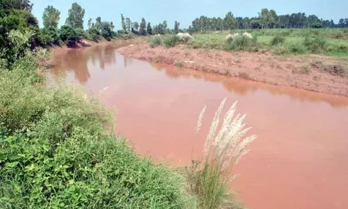 पटियाला के घनौर में बाढ़ की स्थिति गंभीर, सेना और NDRF को तैयार रखा गया
