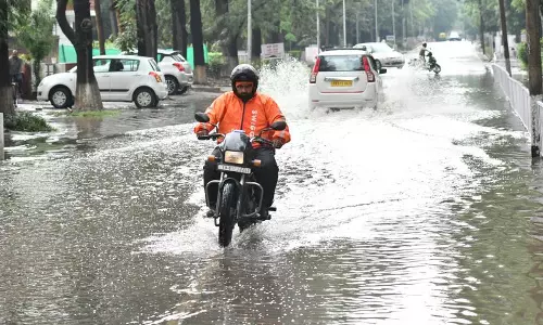 Haryana  में 31.3 मिमी औसत वर्षा दर्ज की गई