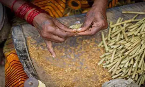 बीड़ी पर GST कटौती की आलोचना की, इसे तंबाकू नियंत्रण के लिए झटका बताया बीड़ी पर GST कटौती की आलोचना की, इसे तंबाकू नियंत्रण के लिए झटका बताया