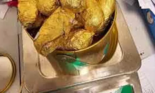 चेन्नई हवाई अड्डे पर कोकीन तस्करी गिरोह का भंडाफोड़