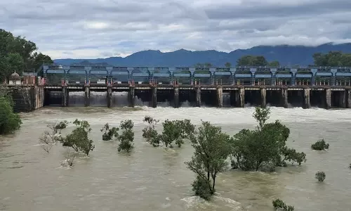 भाखड़ा, पोंग बांधों से भारी मात्रा में पानी छोड़े जाने के बाद Punjab में बाढ़ की स्थिति बिगड़ी भाखड़ा, पोंग बांधों से भारी मात्रा में पानी छोड़े जाने के बाद Punjab में बाढ़ की स्थिति बिगड़ी