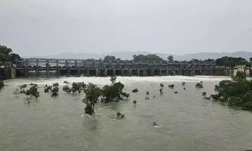 पोंग बांध की पूरी क्षमता पूरी होने पर भाखड़ा Punjab में और पानी छोड़ेगा