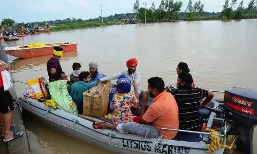 Sultanpur Lodhi में 60,000 एकड़ धान की फसल जलमग्न Sultanpur Lodhi में 60,000 एकड़ धान की फसल जलमग्न