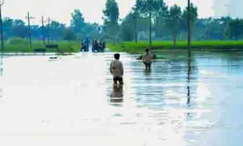 Punjab: मंत्री ने फसल नुकसान पर केंद्र से मांगी ₹50,000 प्रति एकड़ राहत