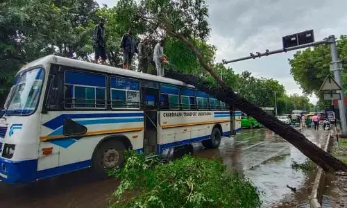 Chandigarh MC ने बाढ़ संभावित 25 स्थानों की पहचान की