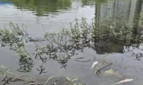 इंद्रायणी, पवना नदियों में प्रदूषण नियंत्रण के लिए PMRDA में समीक्षा बैठक आयोजित