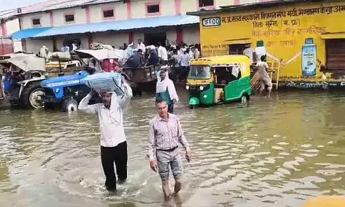 Madhya Pradesh: मुरैना में खाद के लिए किसान घुटनों तक पानी में खड़े हैं