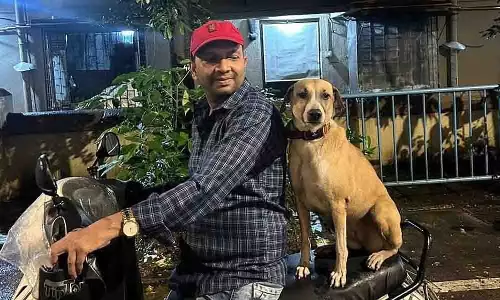 Mumbai: 3 महीने पहले अगवा हुआ मॉल का कुत्ता 6 घंटे की तलाशी के बाद मिला Mumbai: 3 महीने पहले अगवा हुआ मॉल का कुत्ता 6 घंटे की तलाशी के बाद मिला