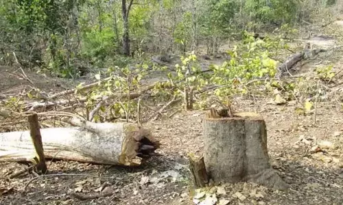 Julurupadu जंगल क्षेत्र में हाल ही में एक Forest Beat Officer पर हमला होने का मामला सामने