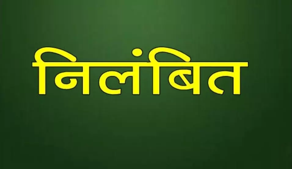पटवारी ड्यूटी में नहीं आ रहा था ट्रांसफर के बाद से, सस्पेंड की कार्रवाई पटवारी ड्यूटी में नहीं आ रहा था ट्रांसफर के बाद से, सस्पेंड की कार्रवाई
