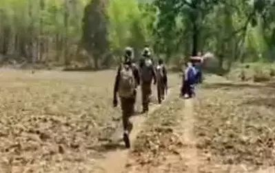 नारायणपुर, दंतेवाड़ा और बीजापुर बॉर्डर में कई नक्सली ढेर नारायणपुर, दंतेवाड़ा और बीजापुर बॉर्डर में कई नक्सली ढेर