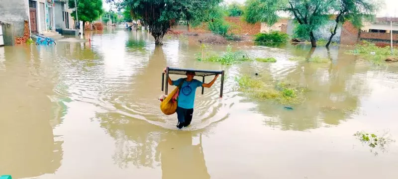 Haryana : फतेहाबाद के भूना में जलभराव के कारण 40 परिवार घर छोड़ने को मजबूर Haryana : फतेहाबाद के भूना में जलभराव के कारण 40 परिवार घर छोड़ने को मजबूर