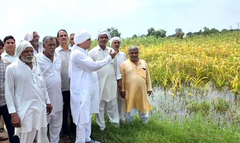 Rohtak के किसान जलभराव से परेशान Rohtak के किसान जलभराव से परेशान