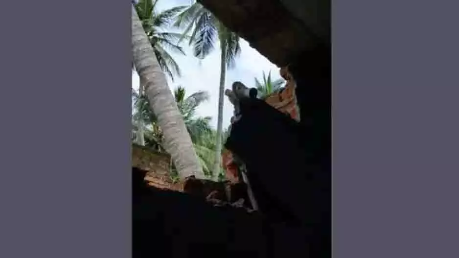 Odisha: गंजम में गैस सिलेंडर फटने से एक युवक गंभीर रूप से घायल Odisha: गंजम में गैस सिलेंडर फटने से एक युवक गंभीर रूप से घायल