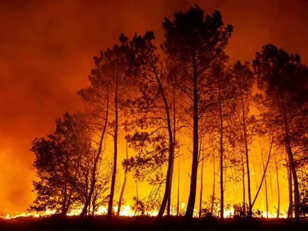 जंगली आग से बढ़ रहा वैश्विक वायु प्रदूषण, WMO ने स्वास्थ्य जोखिम की चेतावनी दी जंगली आग से बढ़ रहा वैश्विक वायु प्रदूषण, WMO ने स्वास्थ्य जोखिम की चेतावनी दी
