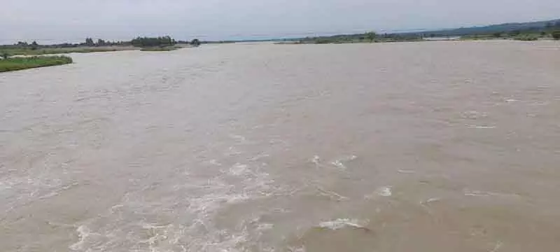 Pong dam का जलस्तर इस साल के उच्चतम स्तर पर पहुंचा Pong dam का जलस्तर इस साल के उच्चतम स्तर पर पहुंचा