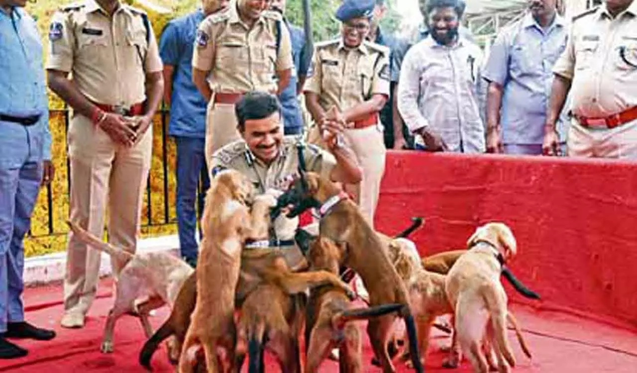 Hyderabad police ने पहली बार महिलाओं को घुड़सवार इकाई में शामिल किया Hyderabad police ने पहली बार महिलाओं को घुड़सवार इकाई में शामिल किया