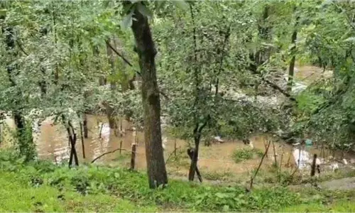 Jammu Kashmir :  बाढ़ ने मचाई तबाही, सेब के बाग तबाह