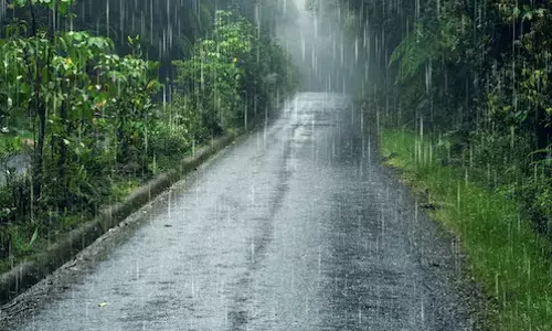 छत्तीसगढ़ : मौसम विभाग ने भारी बारिश का अलर्ट जारी किया
