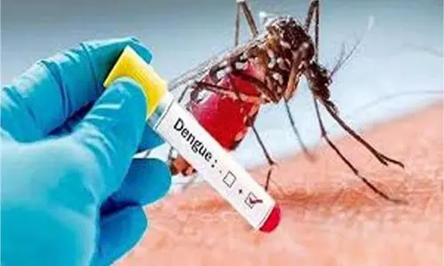 Haryana: डेंगू के मामले बढ़े, मरीजों की संख्या 400 के पार