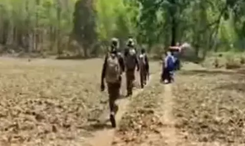 नारायणपुर, दंतेवाड़ा और बीजापुर बॉर्डर में कई नक्सली ढेर